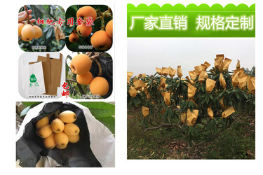 枇杷套袋