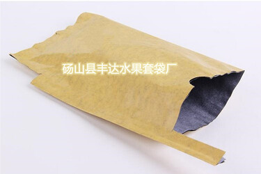 芒果套袋
