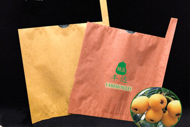 枇杷套袋